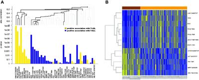 Phosphoproteomic Analysis Reveals a Different Proteomic Profile in Pediatric Patients With T-Cell Lymphoblastic Lymphoma or T-Cell Acute Lymphoblastic Leukemia